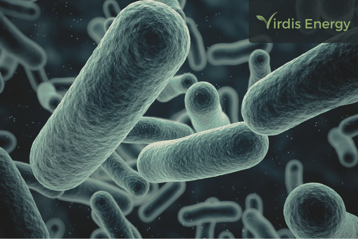 Understanding Legionella